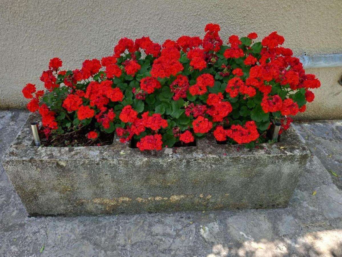 Apartmani Gracijela Karlobag Exterior foto