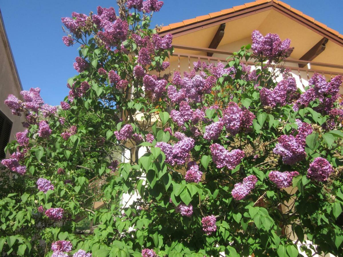 Apartmani Gracijela Karlobag Exterior foto